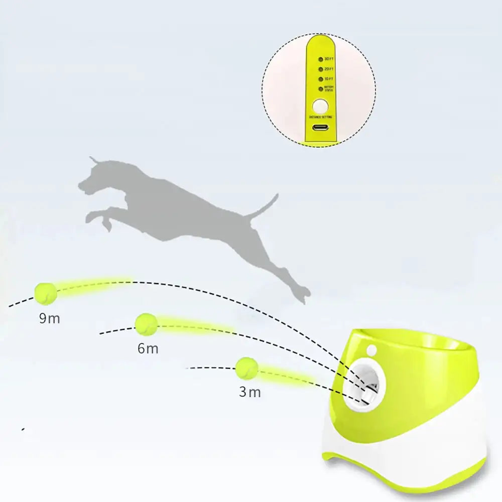 Automatisk Bollkastare för både hund och Tennisspelare!