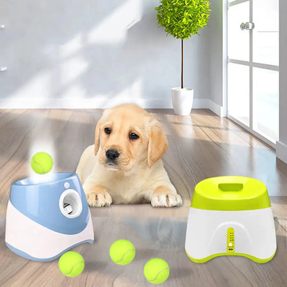 Automatisk Bollkastare för både hund och Tennisspelare!