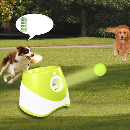 Automatisk Bollkastare för både hund och Tennisspelare!