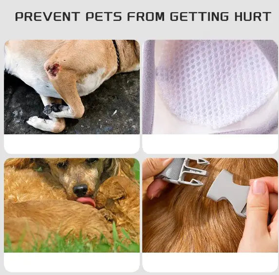 Knäskydd för hundar