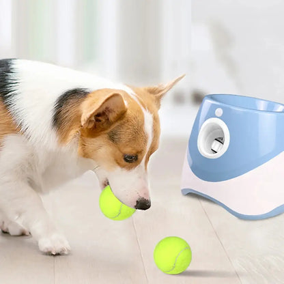 Automatisk Bollkastare för både hund och Tennisspelare!