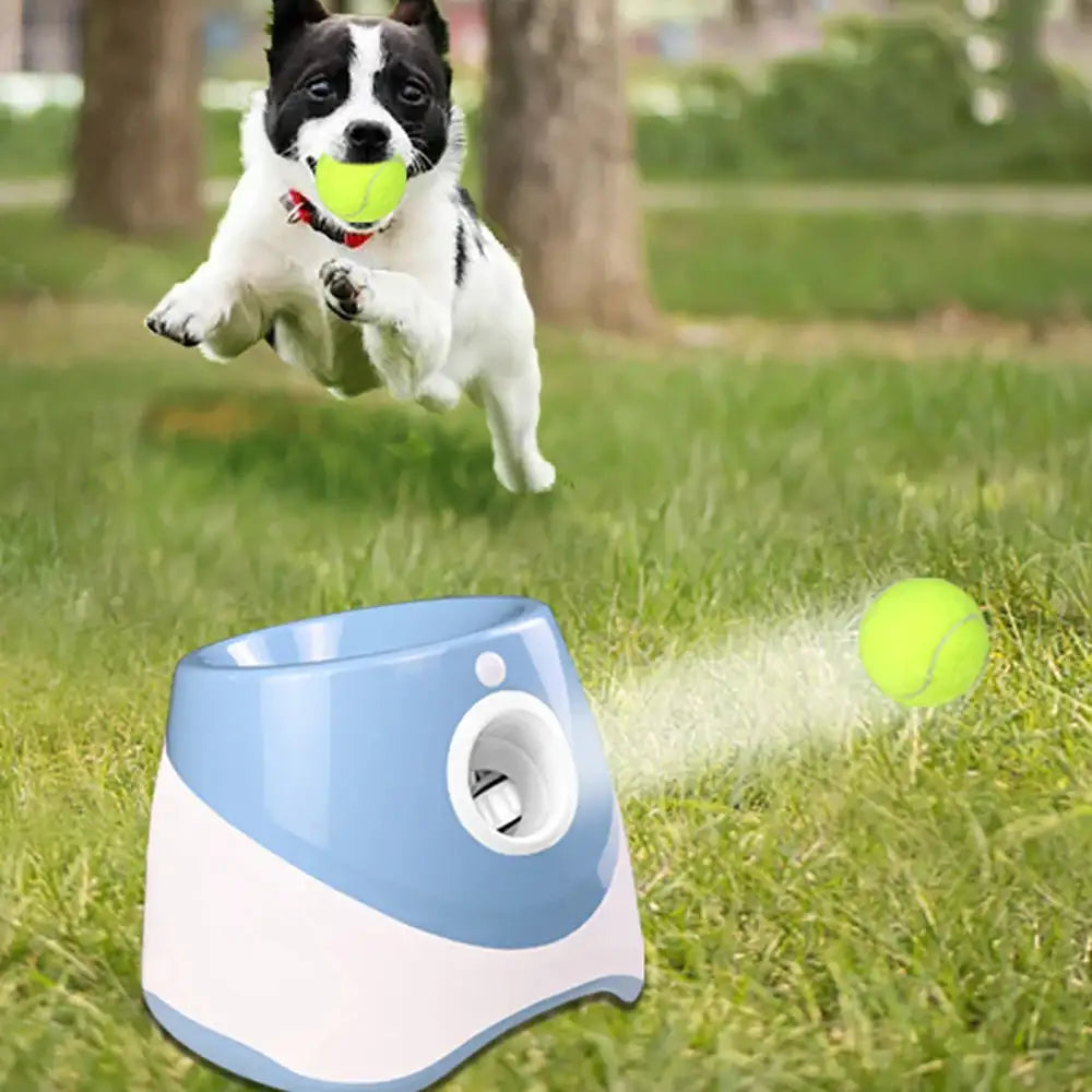 Automatisk Bollkastare för både hund och Tennisspelare!